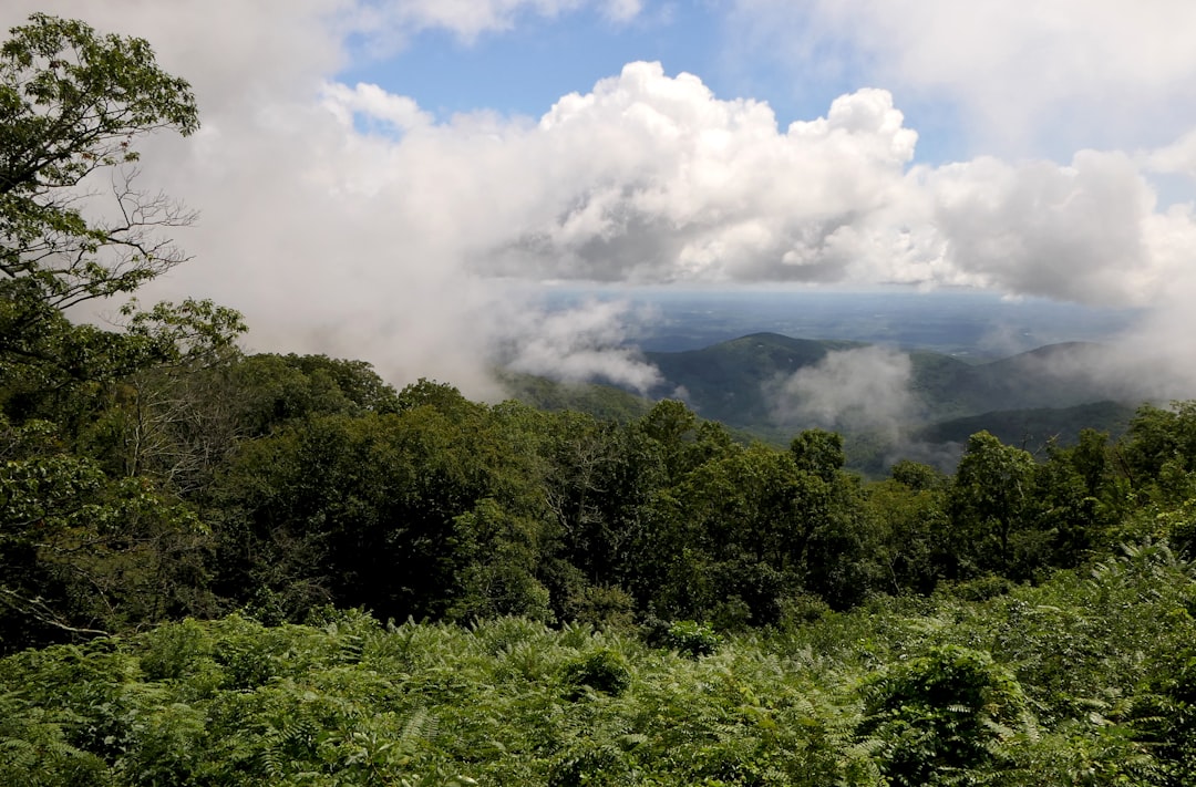 Sell Kentucky land for cash