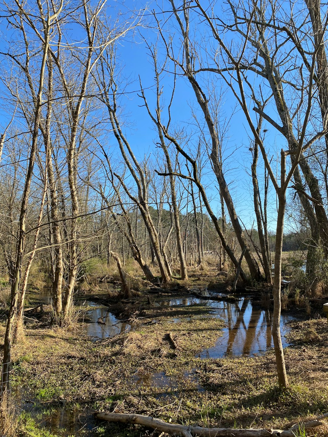 What is the value of Kentucky land when costing cash?