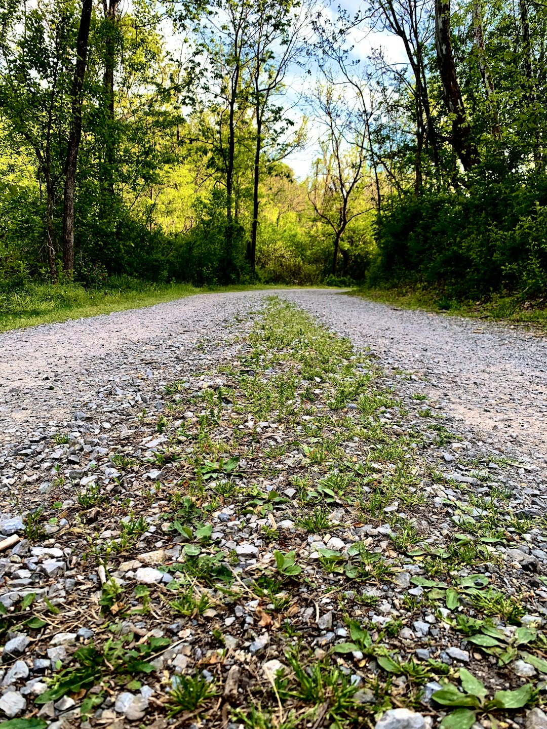 What is the value of Kentucky land when selling for money?