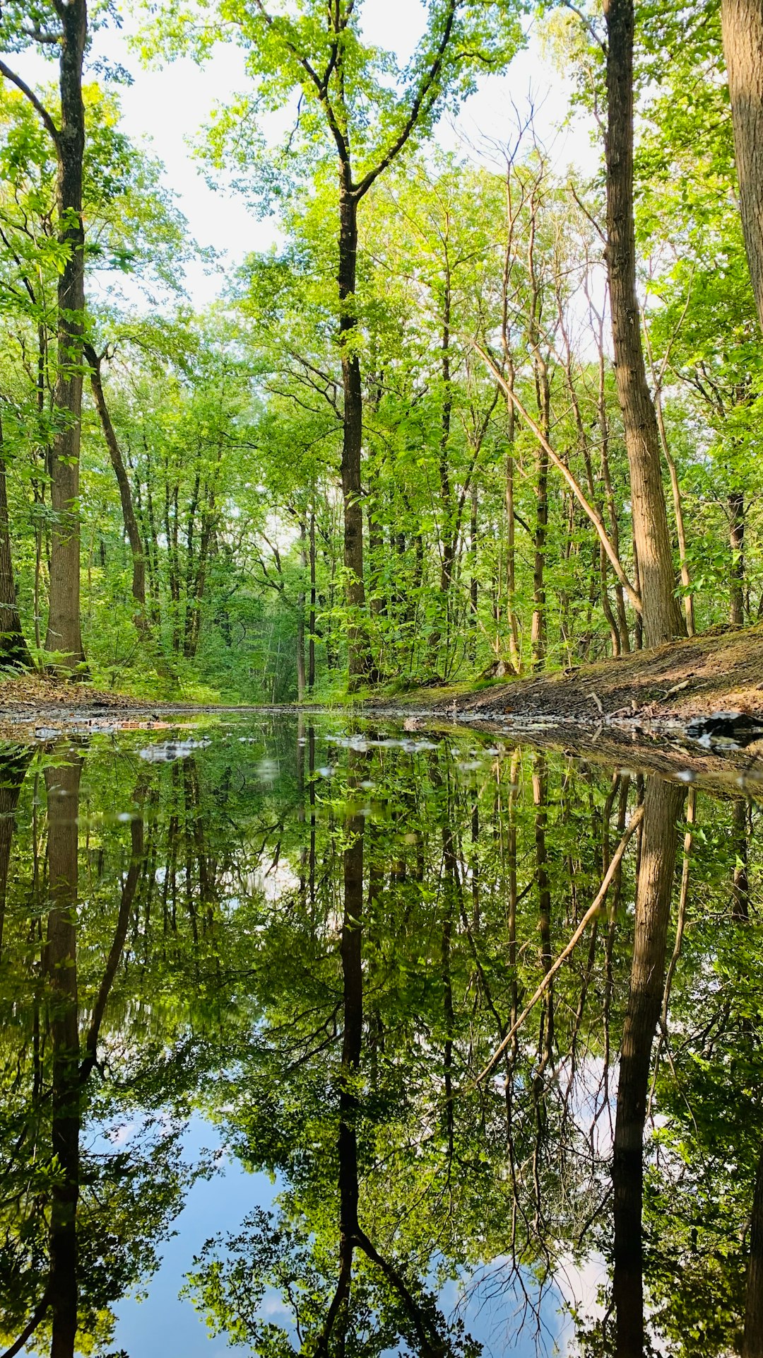 What is the value of Kentucky land when selling for cash?