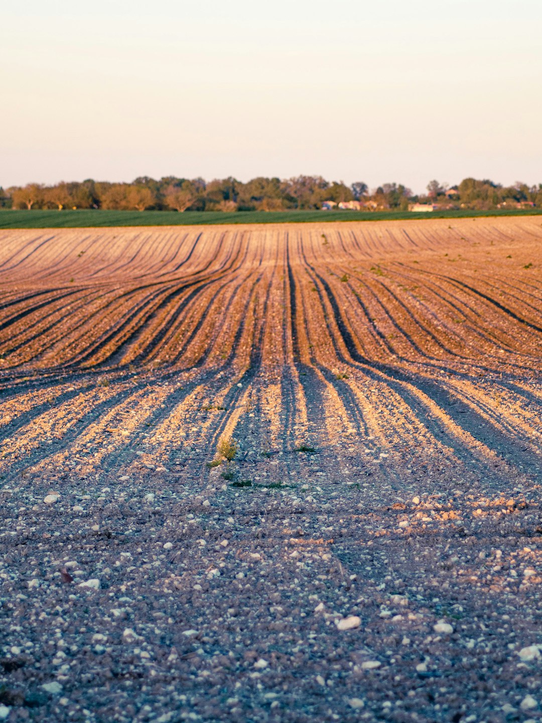 What is the quickest method to market Kentucky land for cash?