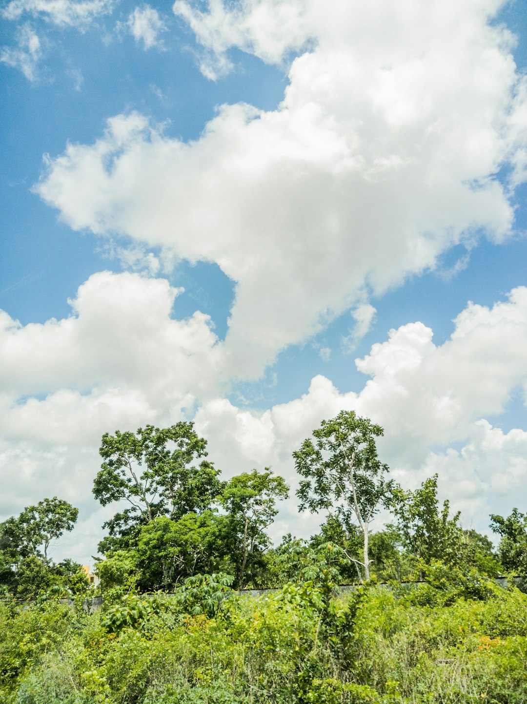 The process of offering Pennsylvania land for cash money