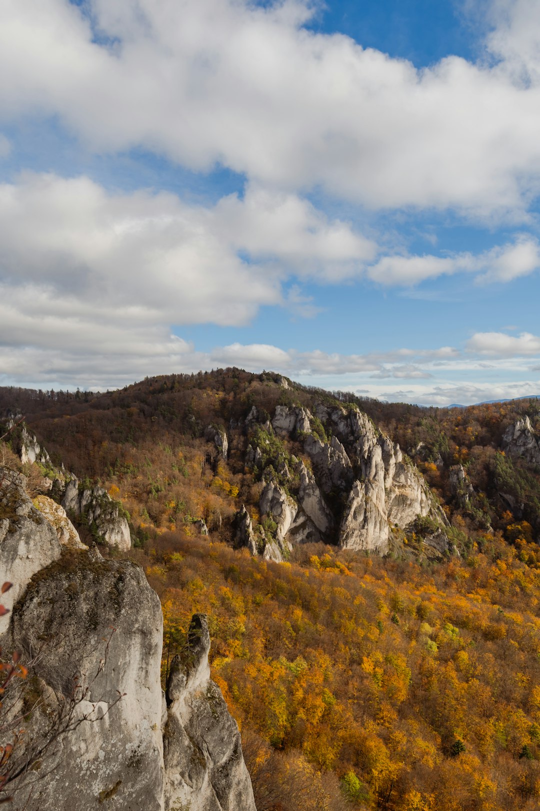 The process of selling Pennsylvania land for cash money