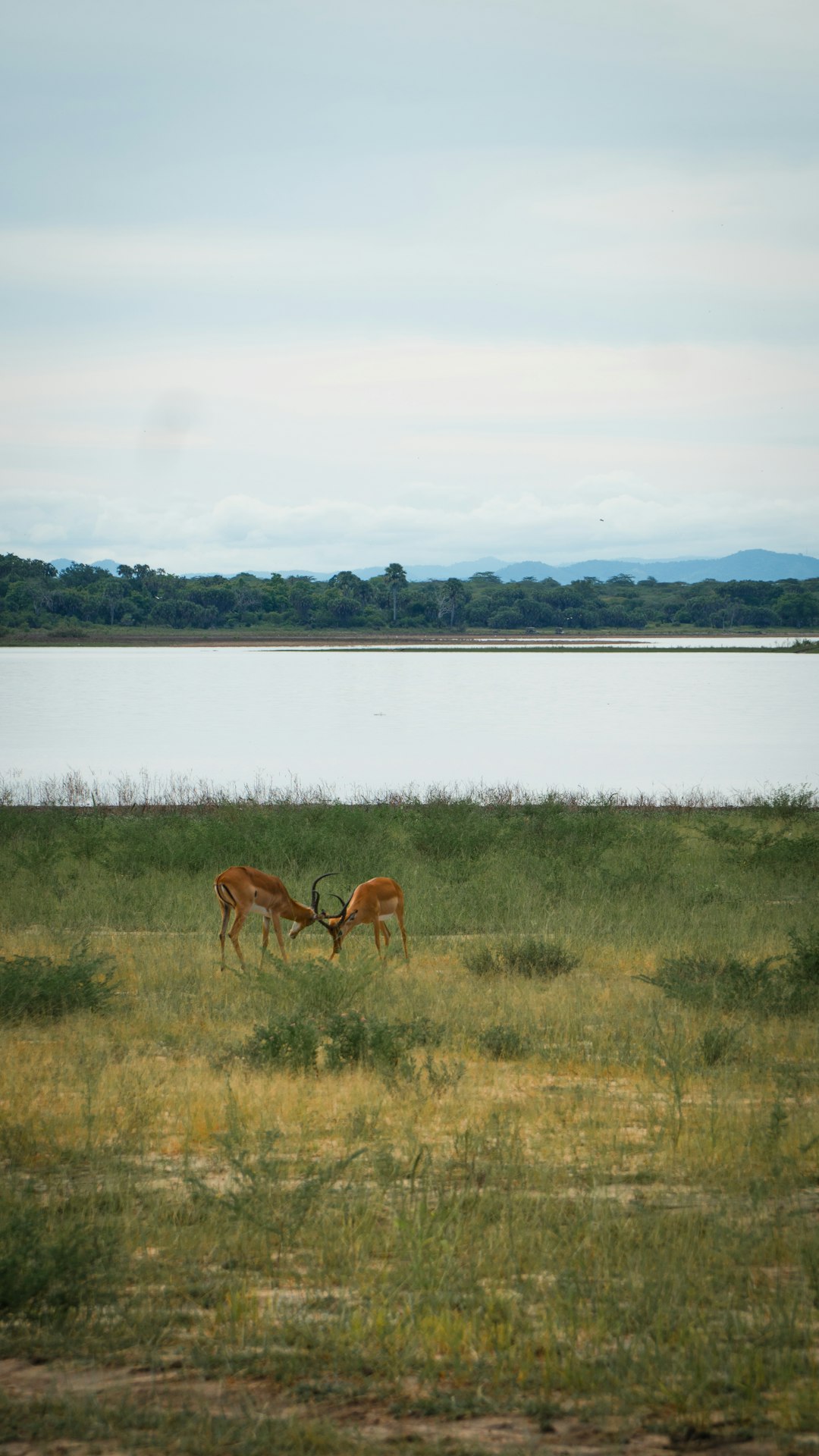 How to attract customers and shut an offer on your Pennsylvania land