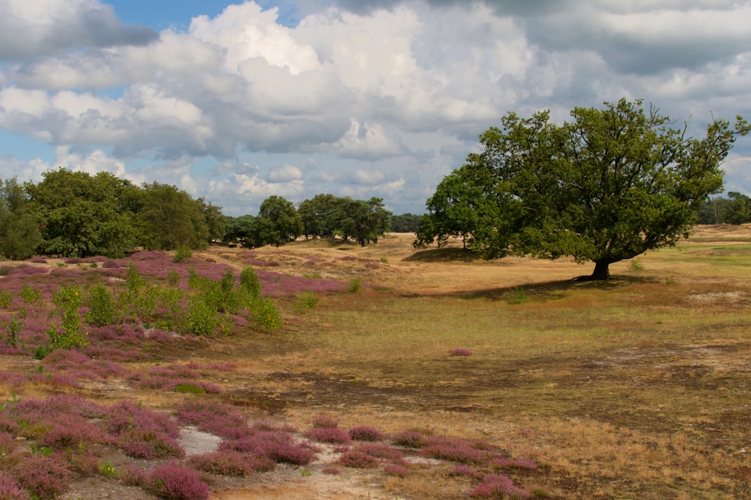 Kansas land buyer