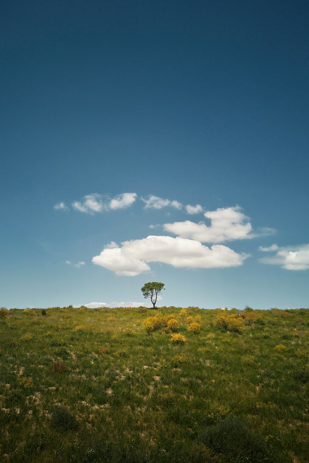 The process of selling Illinois land for cash