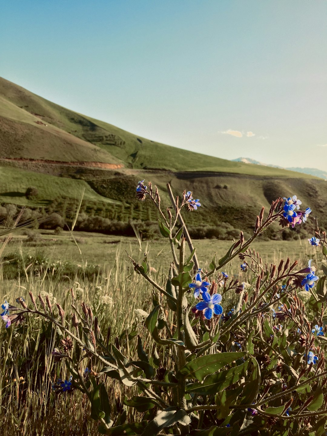 How to Market and Market Your Idaho Land to buy for Cash money