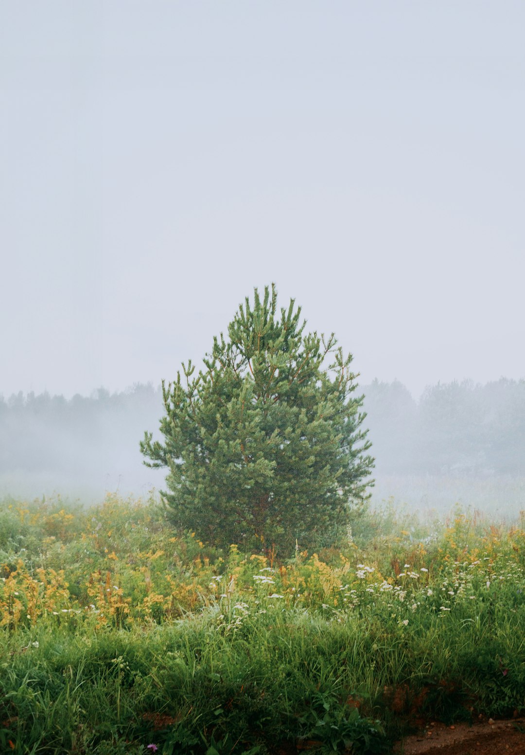 How to Prepare Your Idaho Land up for sale to Make The Most Of Earnings