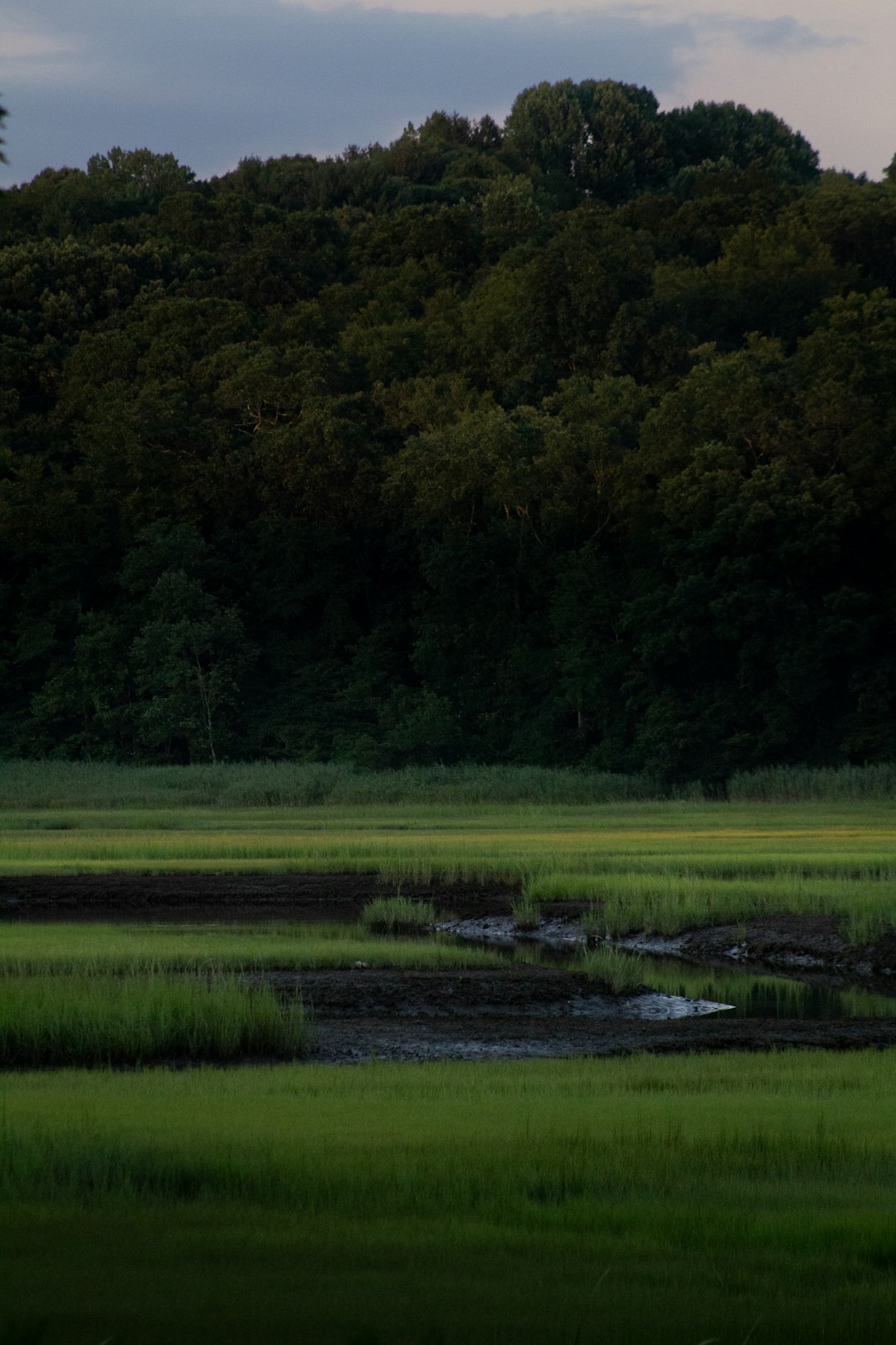 How to Prepare Your Alaska Land for a Cash Sale