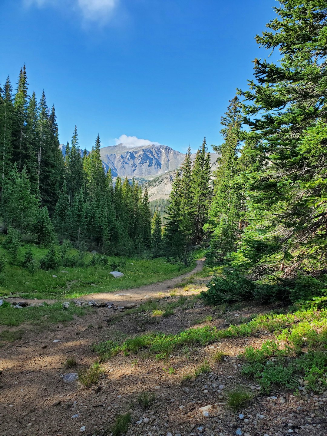 How to Discuss a Profitable Bargain When Marketing Wyoming Land