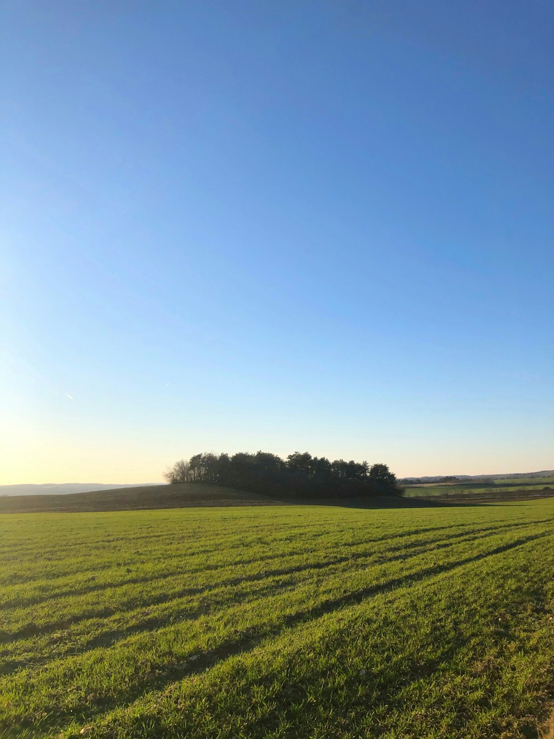 What is the most effective way to market Iowa land for a quick money sale?