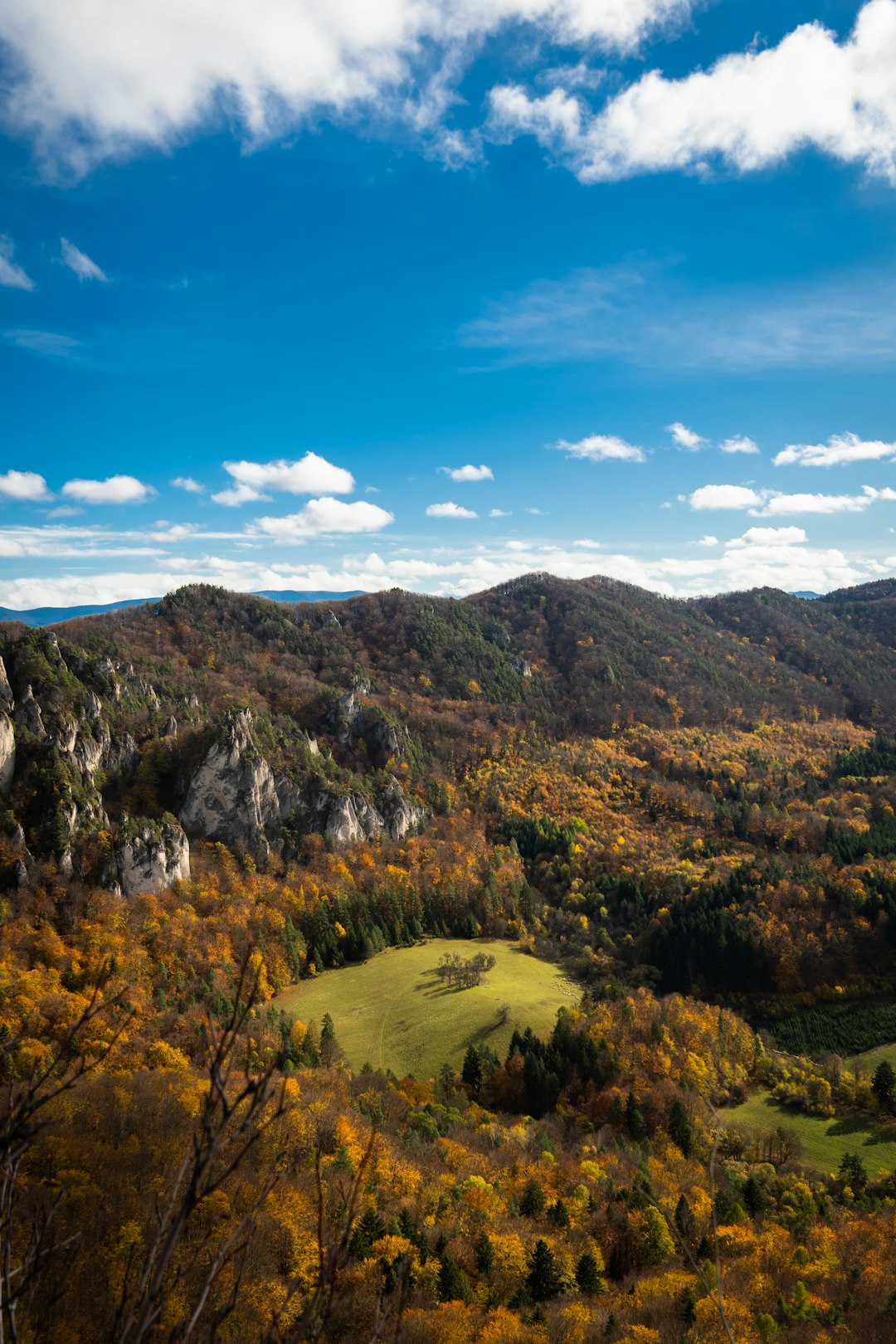 How to Sell Your Washington Land Rapidly for Cash