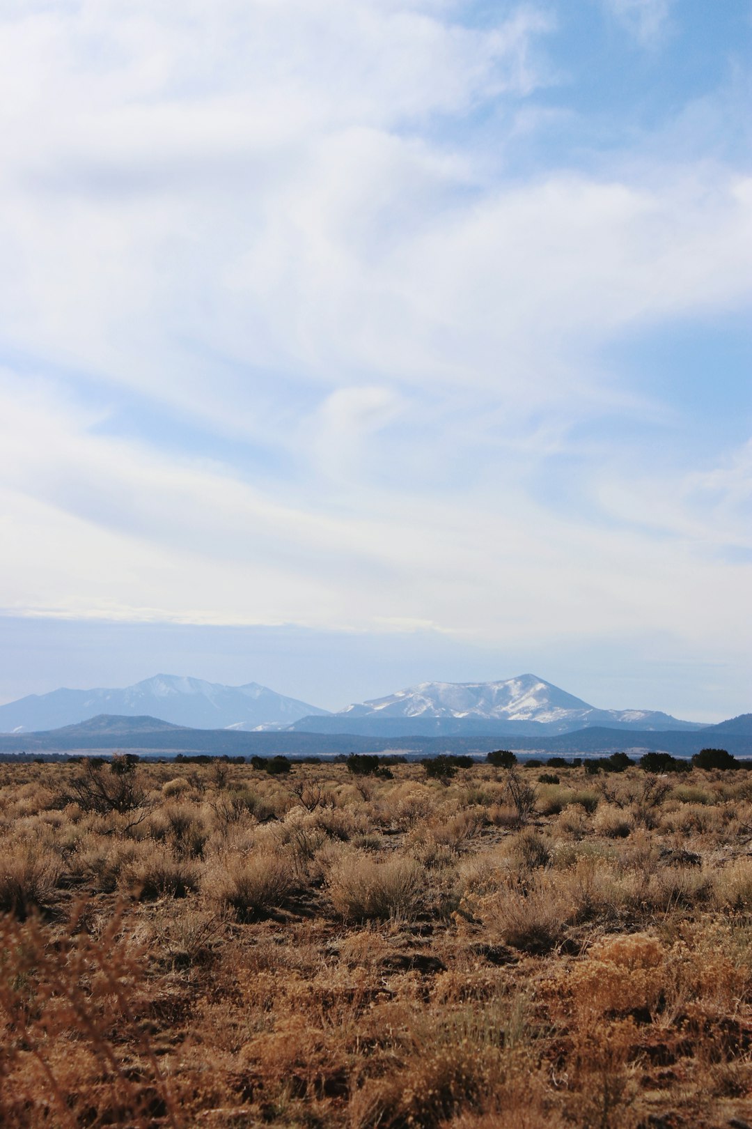 How to Market Nebraska Land Rapidly for Money