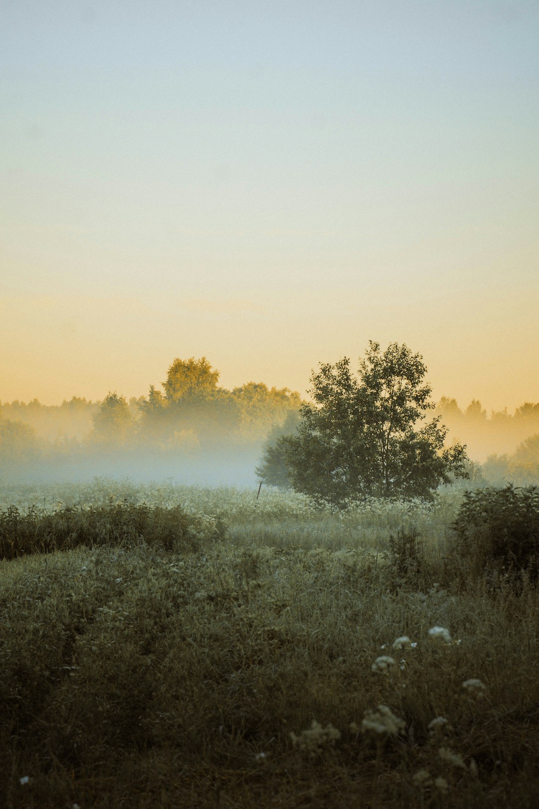 How to Market Nebraska Land Rapidly for Money