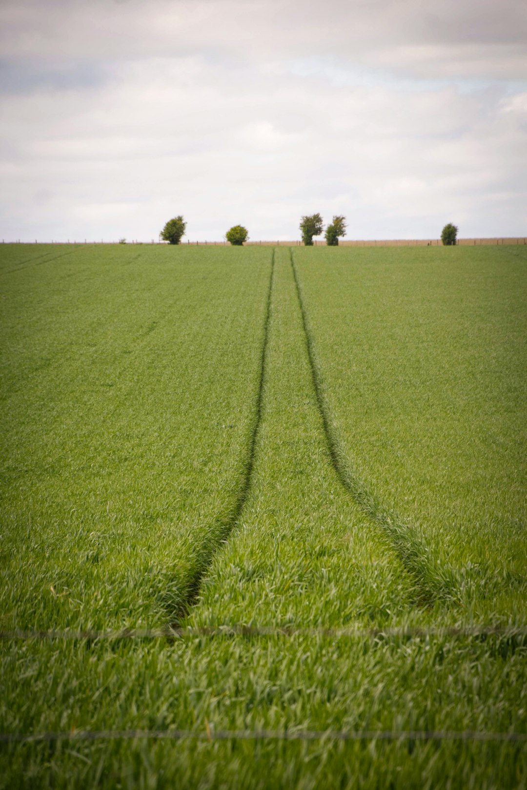 How to Offer Nebraska Land Quickly for Money