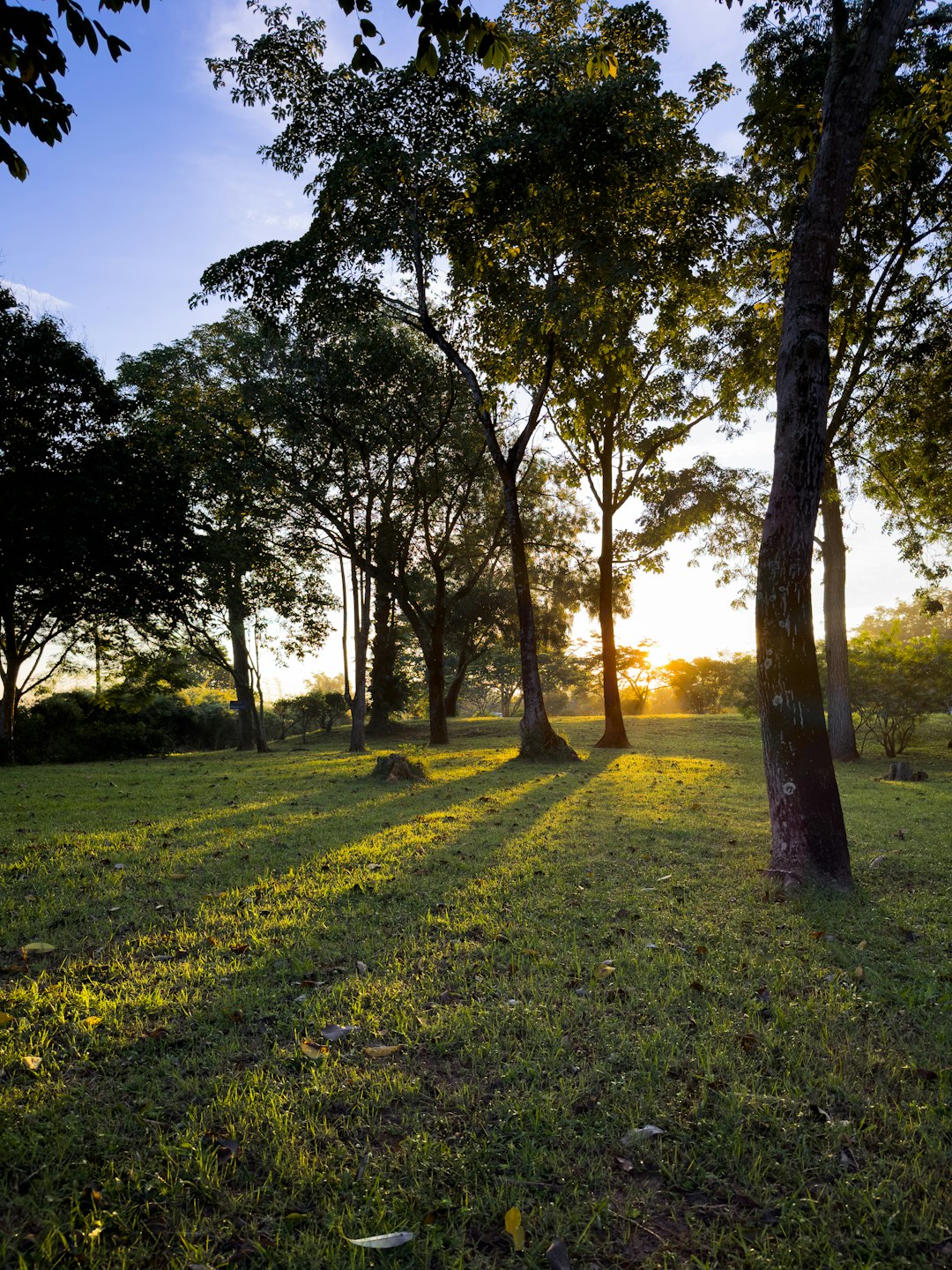 What factors should be considered before making a decision to offer Maine land for cash?