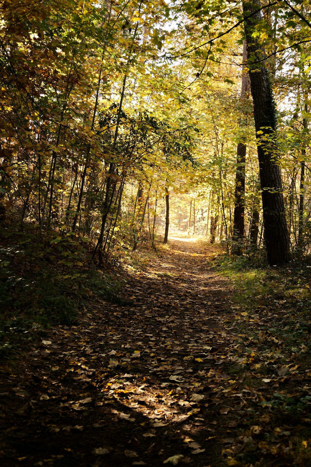 What is the market trend for selling South Dakota land for cash?