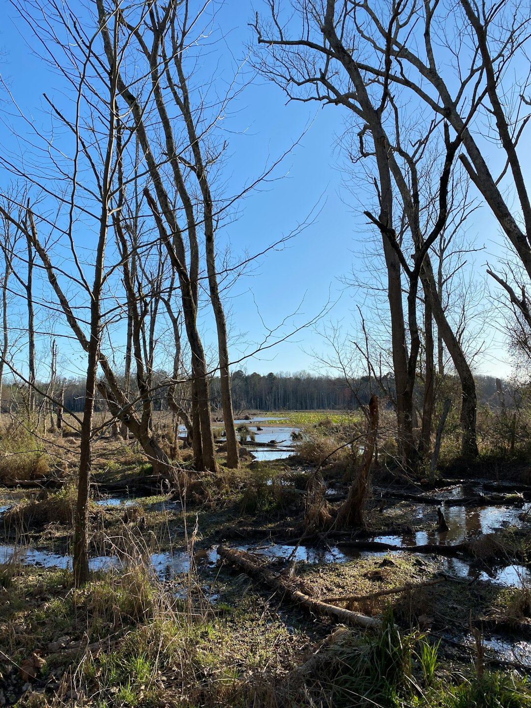 What is the legal documentation required to sell South Dakota land for cash?