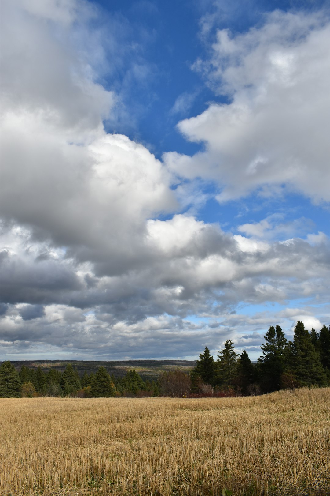 Selling vacant land in Georgia