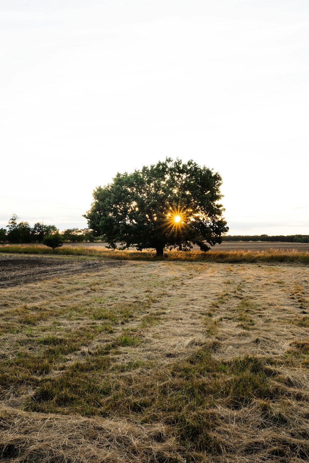 The Process of Marketing Georgia Land for Cash