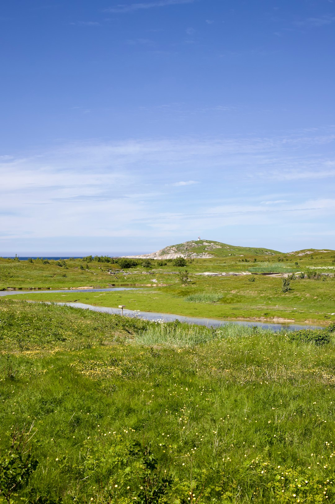 Structure Your Dream: The Prospective of Texas Land