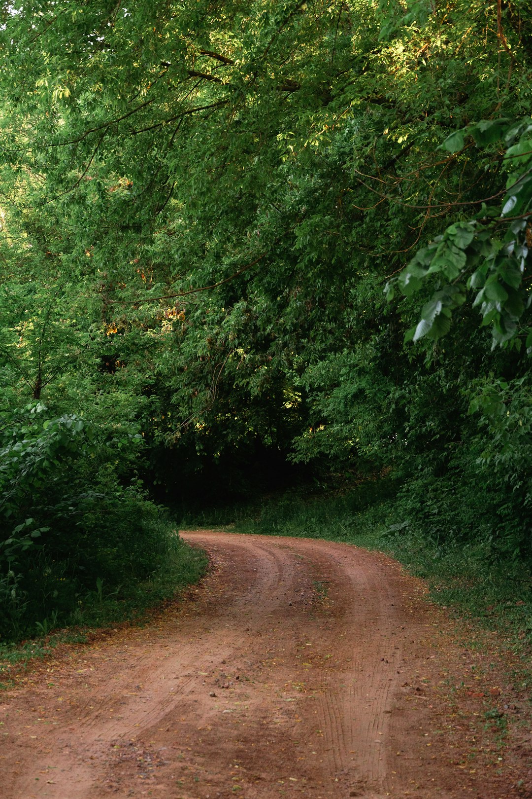 How to Market Oregon Land Swiftly for Cash