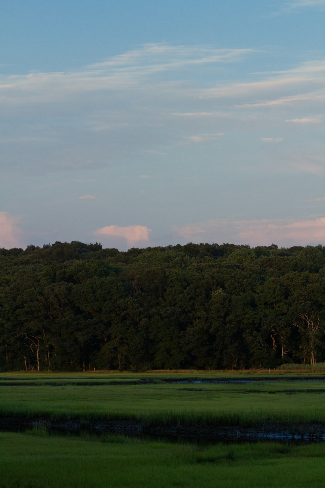 How to Market Your Vermont Land Rapidly for Money