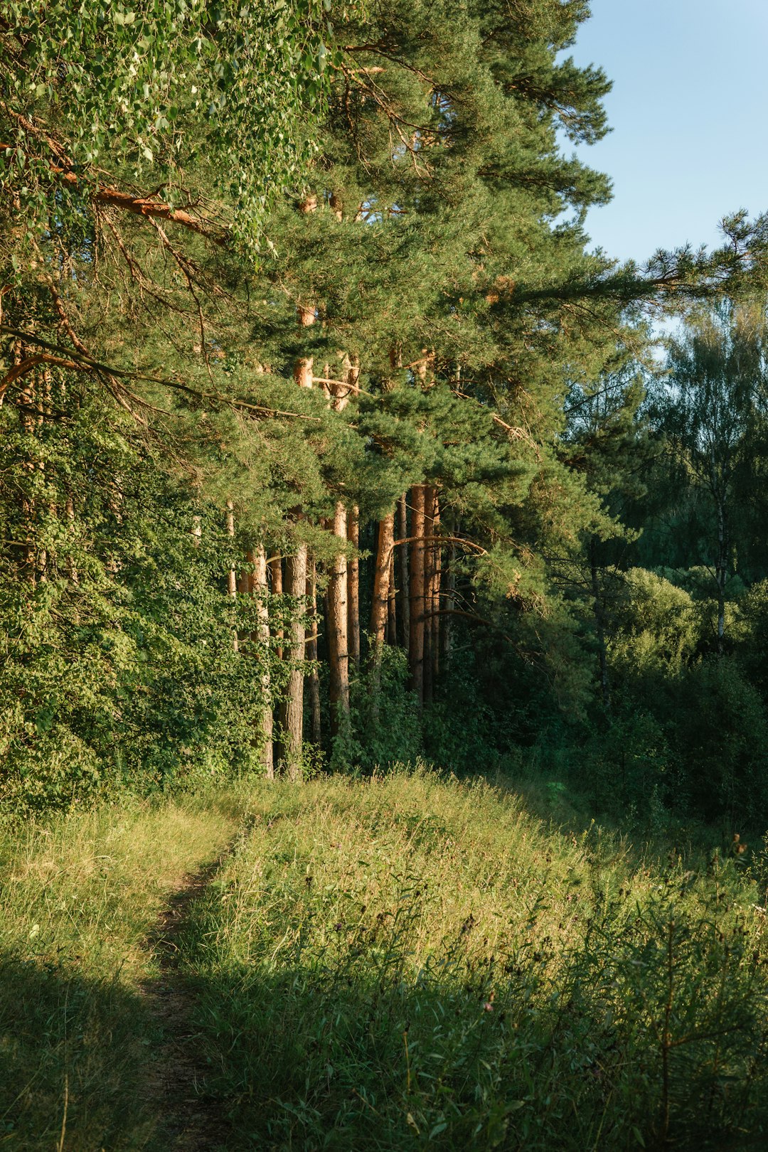 How to Market Your Vermont Land Swiftly for Cash