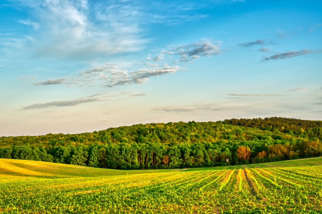 Sell Alabama land for cash