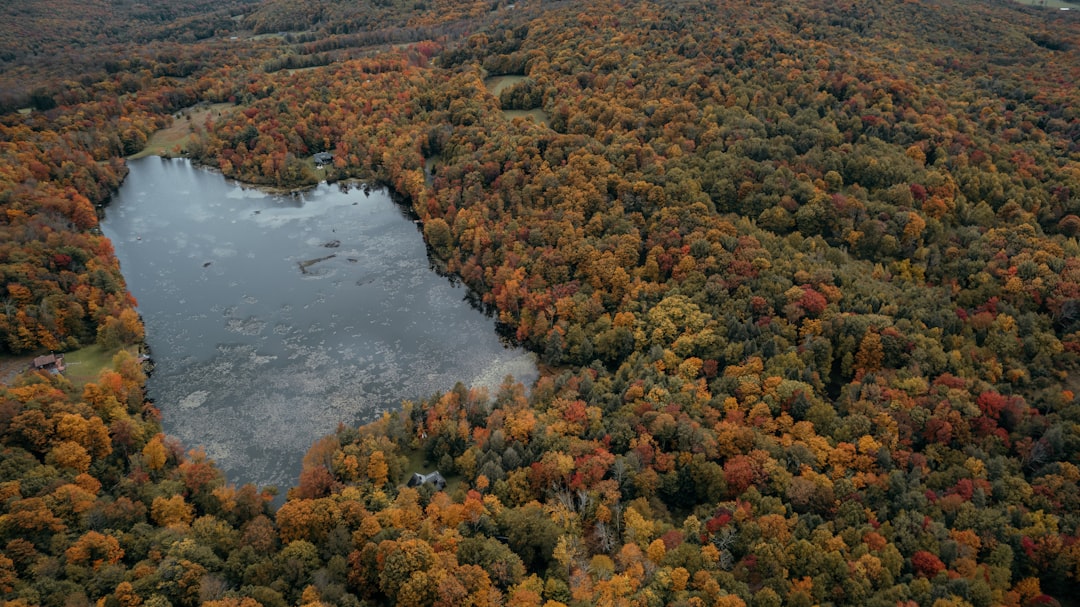 Maximizing Your Land's Appeal