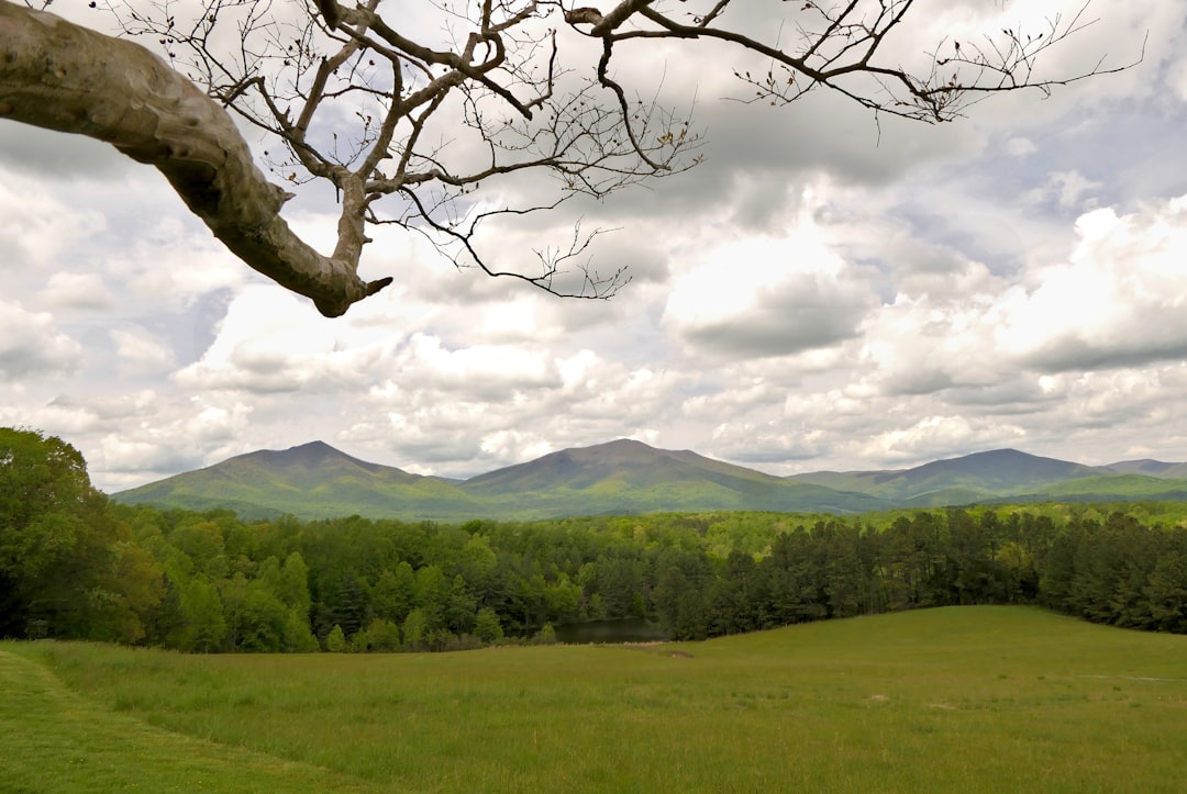 Sell South Carolina land for cash