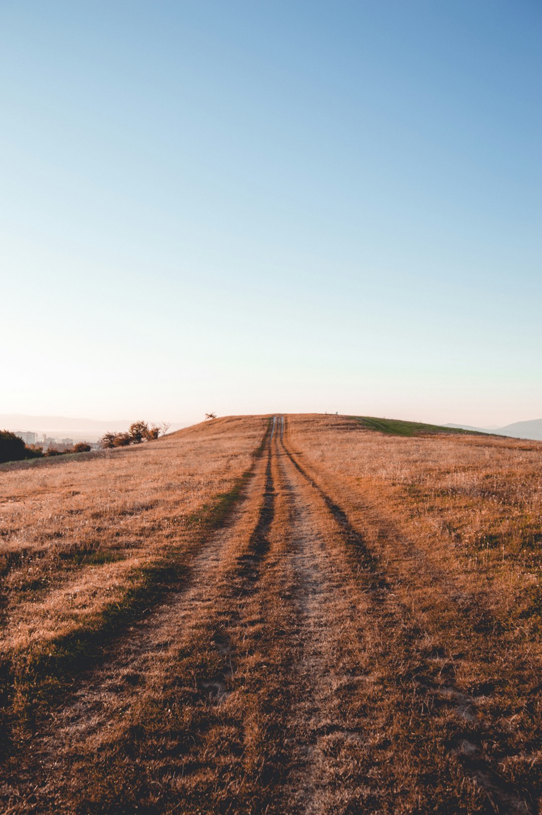 Ecological Problems and Land Purchases