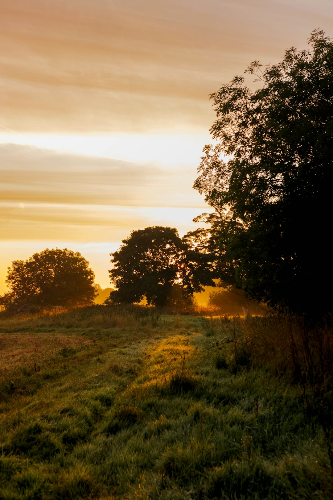 Maximizing Your Financial Investment: Tips and Strategies for Mississippi Landownership