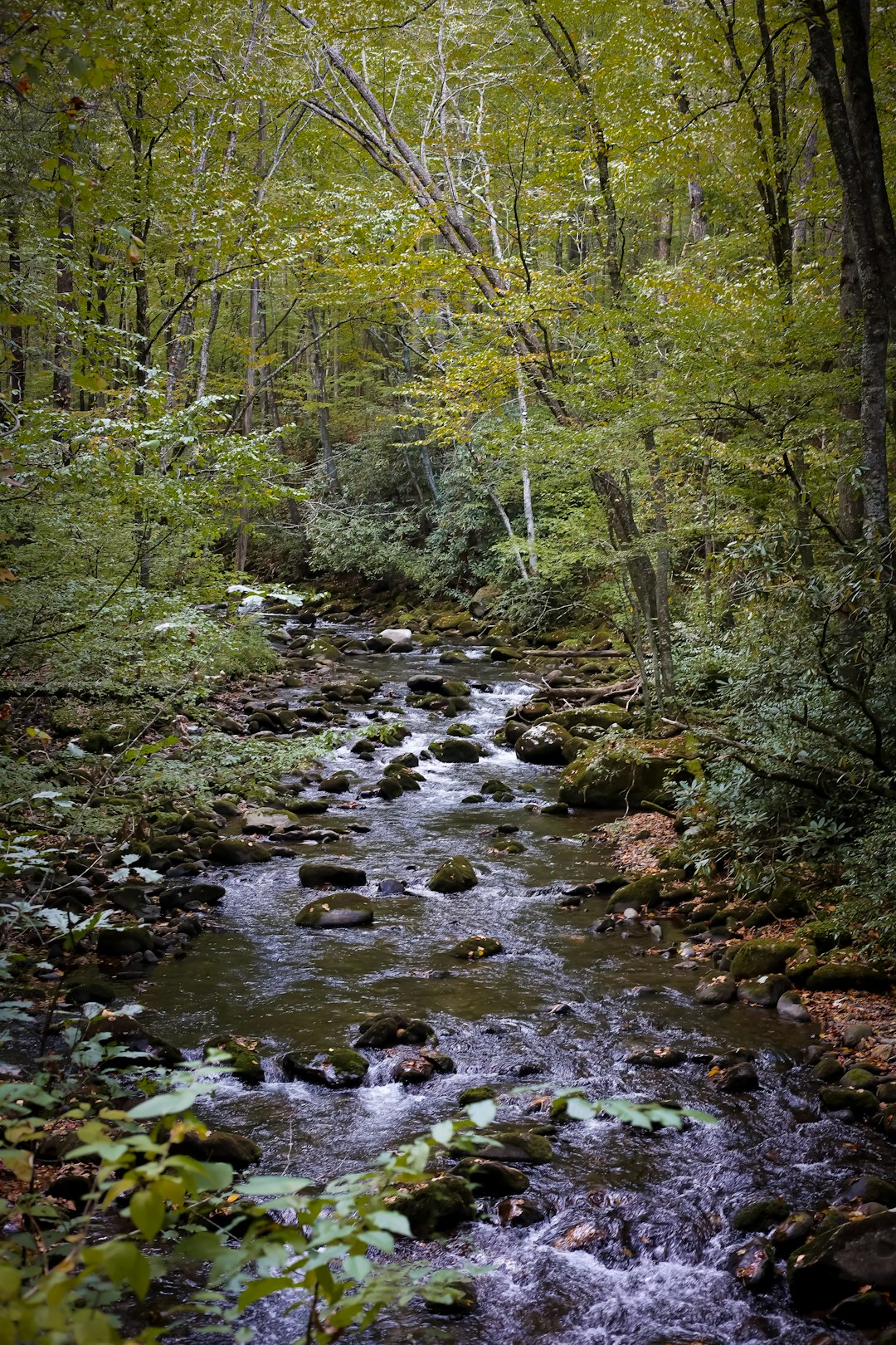 The Future of Land Ownership in Michigan