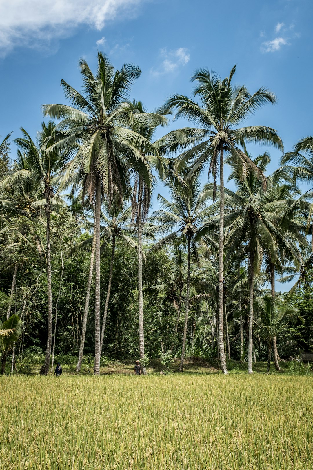 The Future of Land Possession in Michigan