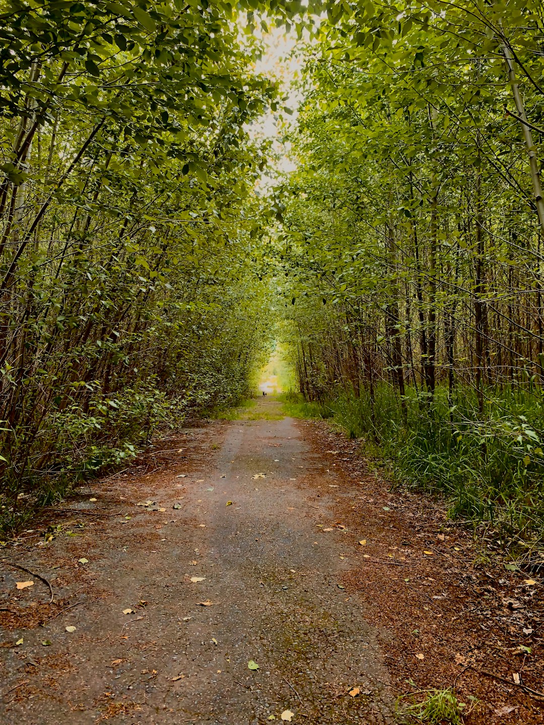 The Future of Land Ownership in Michigan