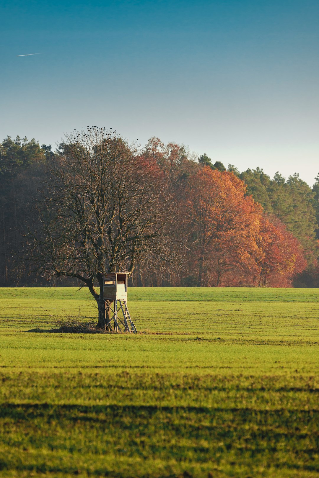 The Future of Land Ownership in Michigan