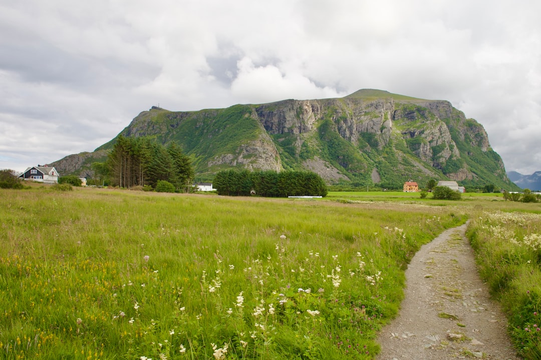 Land surveys and assessments