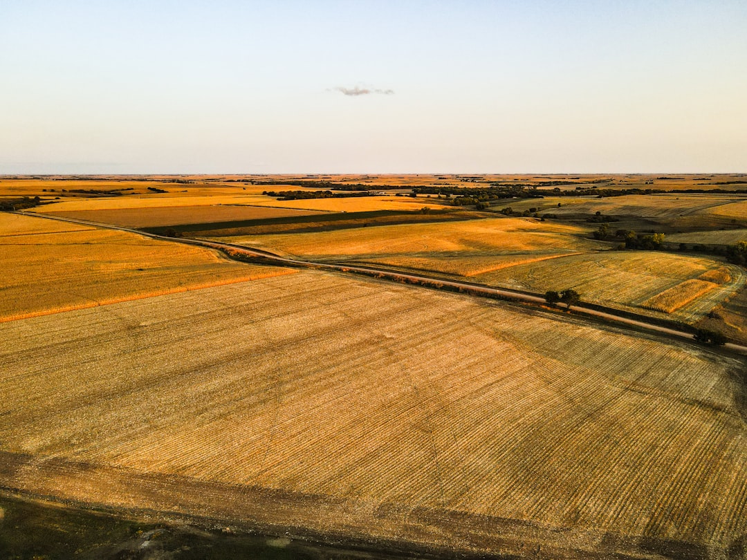 Selling agricultural land in Hawaii