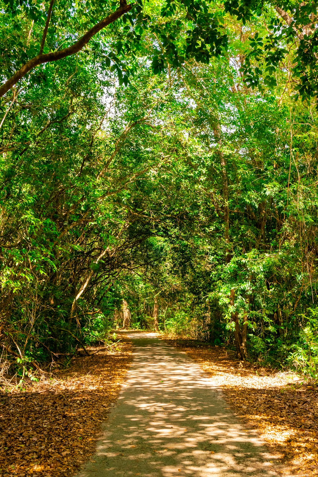 Recognizing the Legalities of Land Ownership in Hawaii