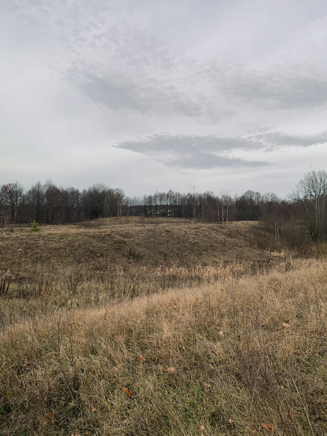 The Increase of Sustainable Land Usage in Ohio