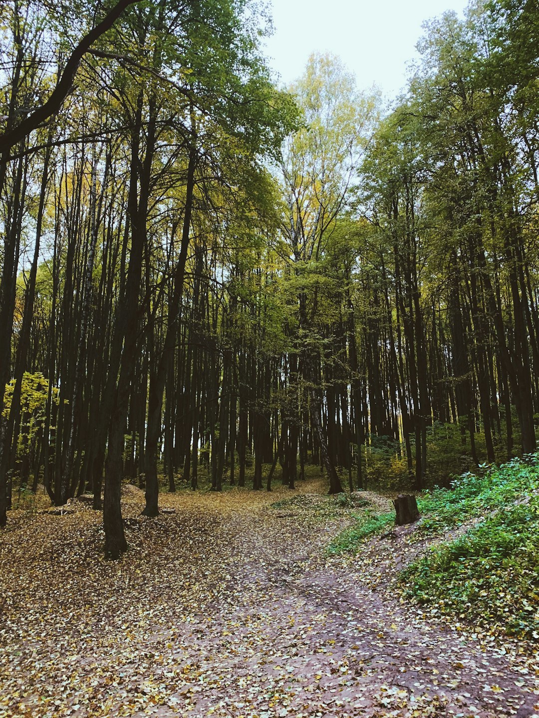 The Rise of Sustainable Land Usage in Ohio