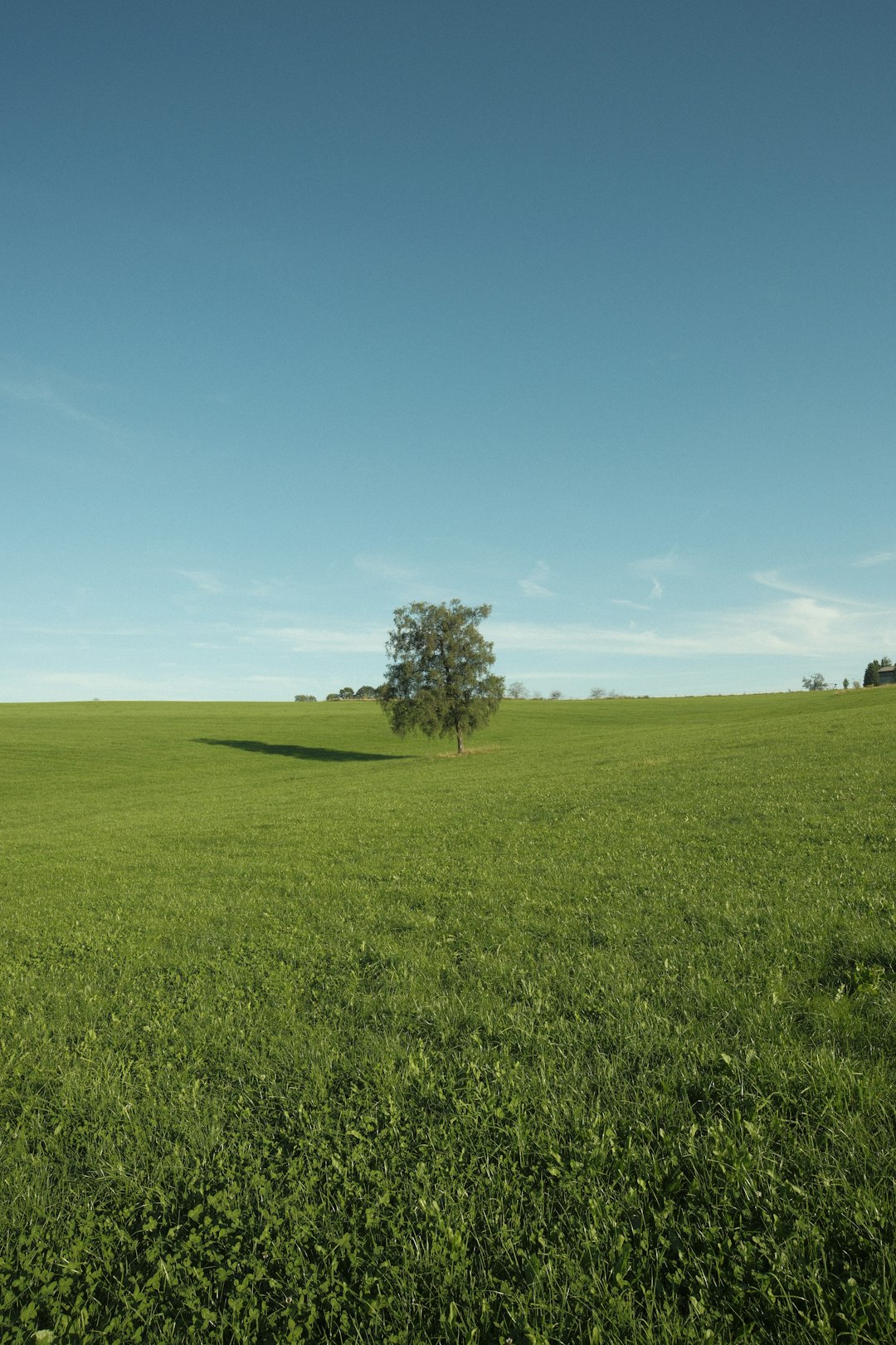 The Future of Land Possession in Ohio