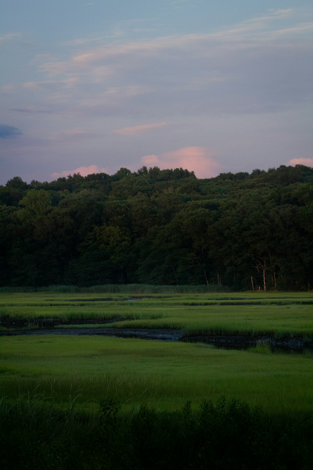 The Future of Land Ownership in Ohio