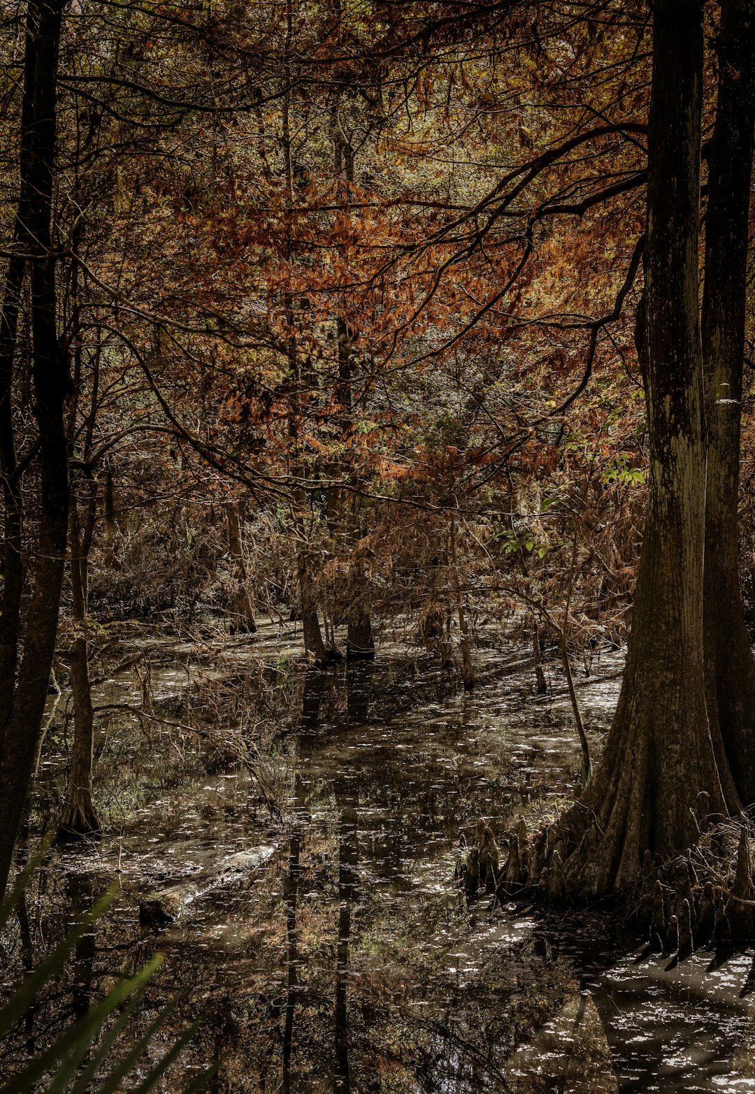 The Future of Land Ownership in Ohio