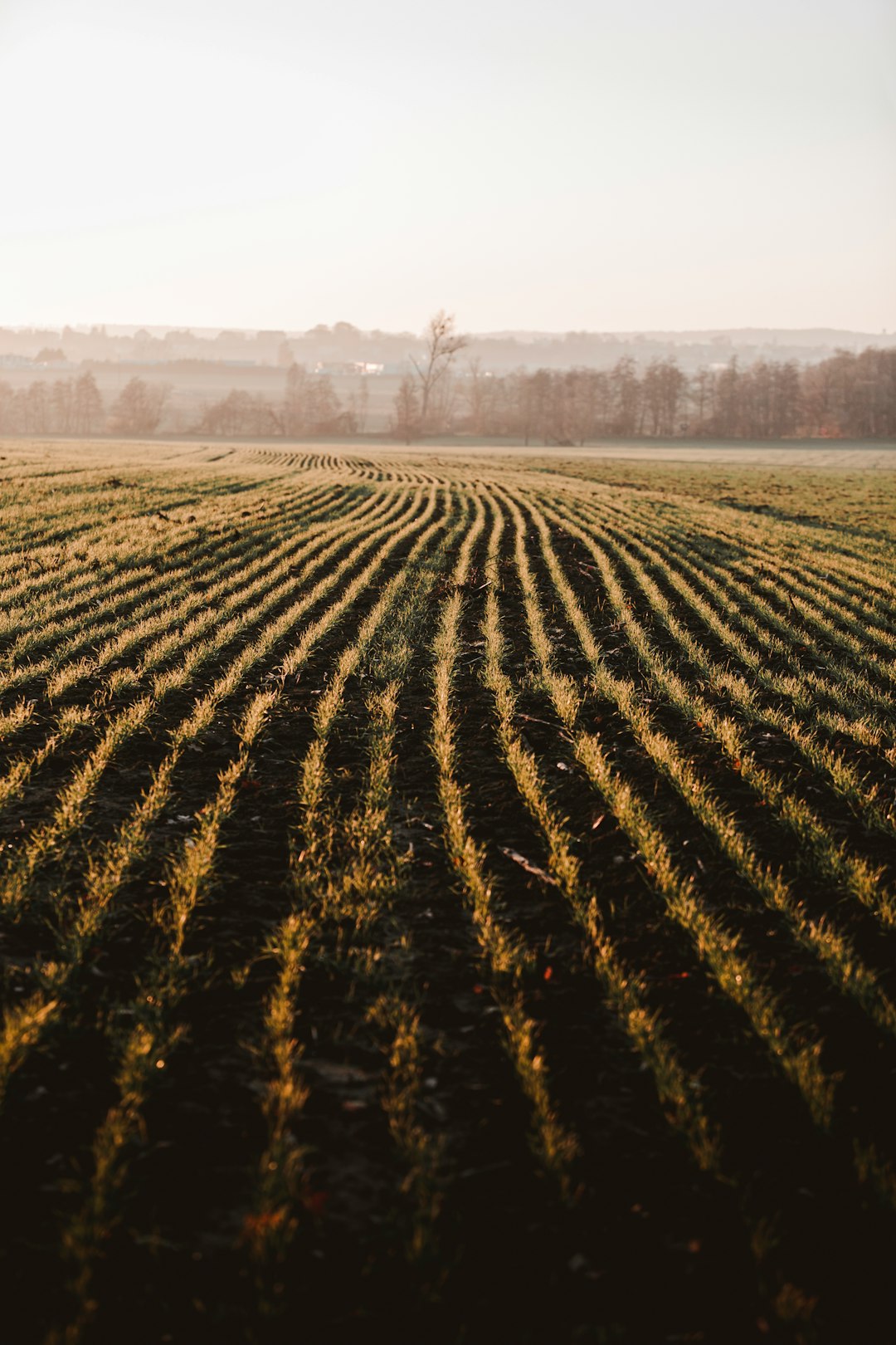 The Future of Land Possession in Ohio