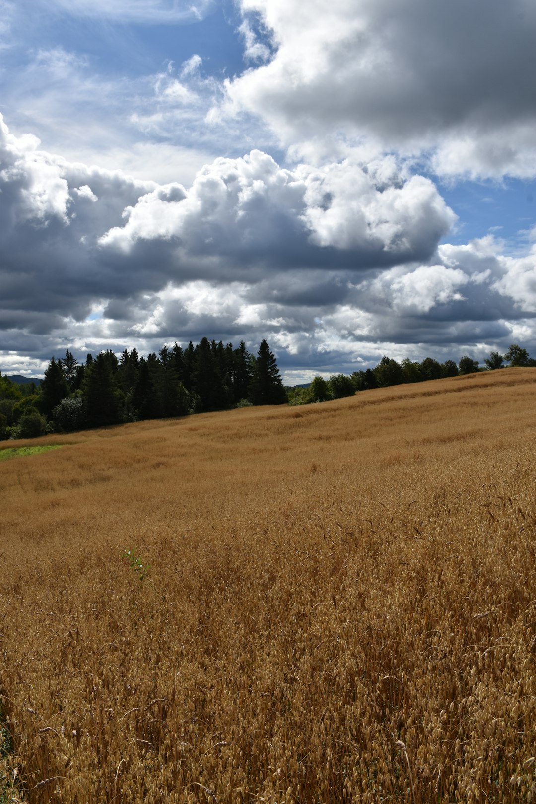 The Future of Land Ownership in Ohio