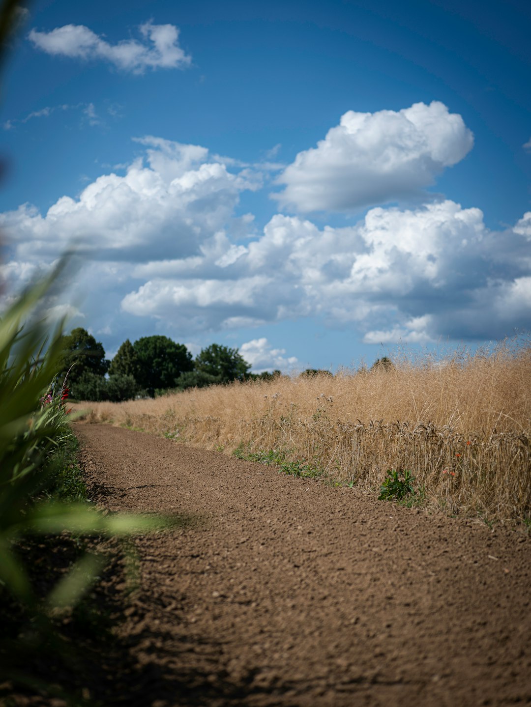 Browsing Zoning and Land Usage Rules