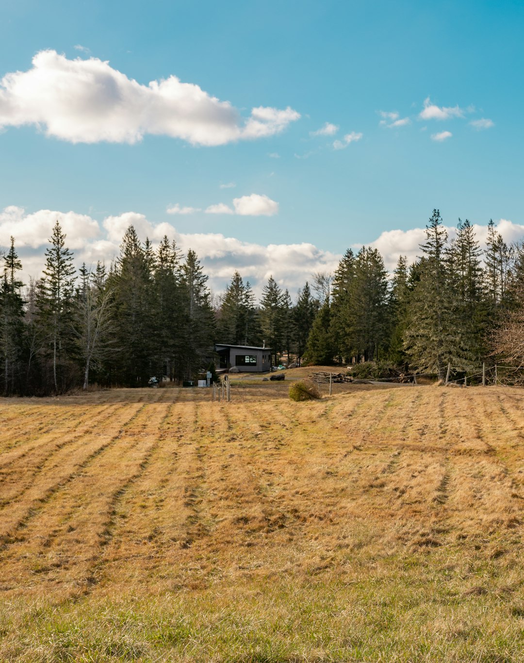 Future Leads of Idaho Land Possession