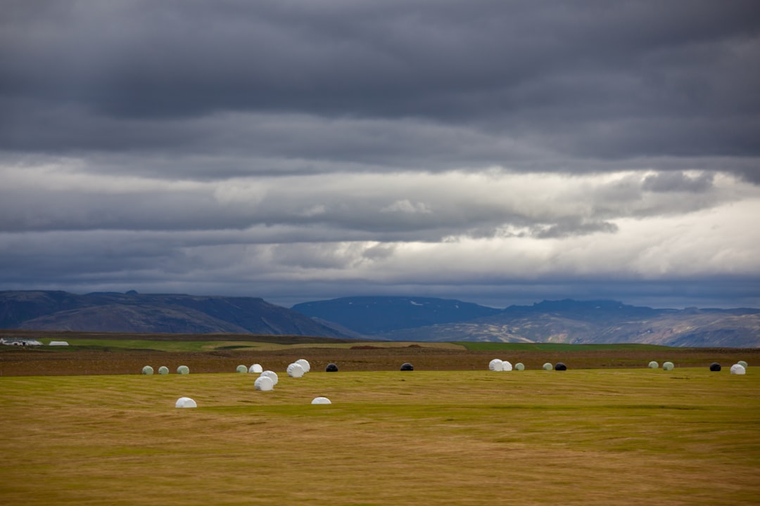 Real estate agents in Alaska